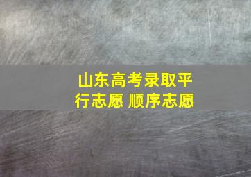 山东高考录取平行志愿 顺序志愿